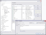 Team Level Customization